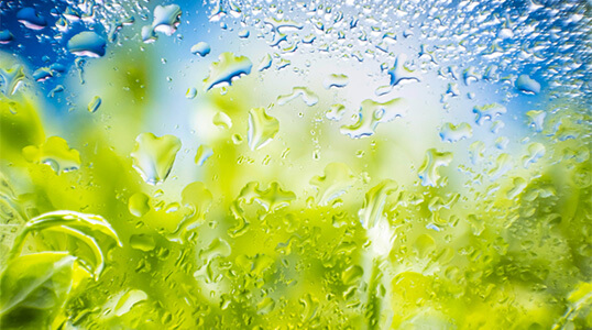 Eco Friendly Car Wash